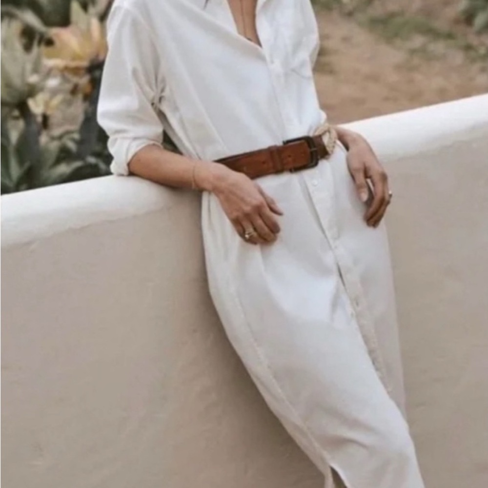 Buck Mason Button Down Dress